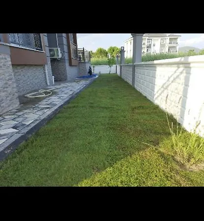 Lilyum *